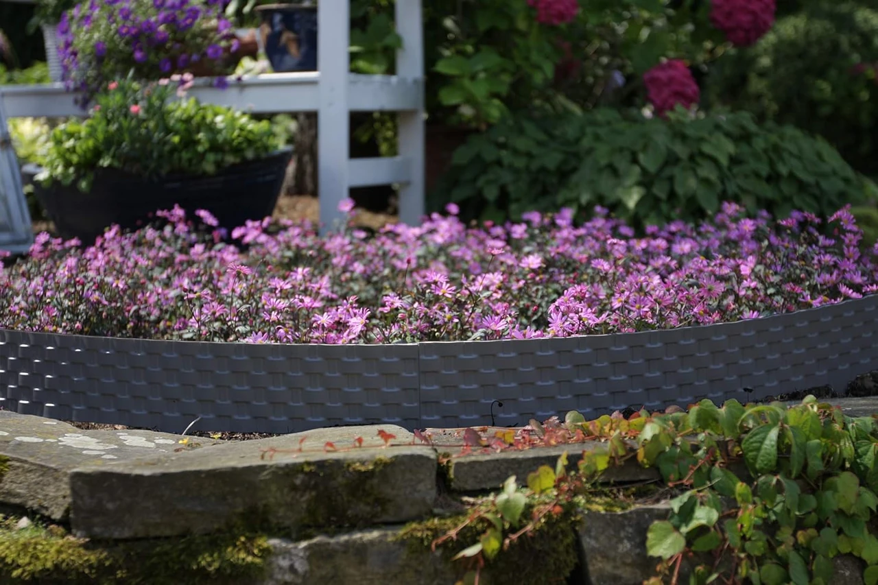 Gartenbeet mit lila Blumen und einer dekorativen Beetumrandung aus Kunststoff. Kiesbeet und Steinbeet im Hintergrund.