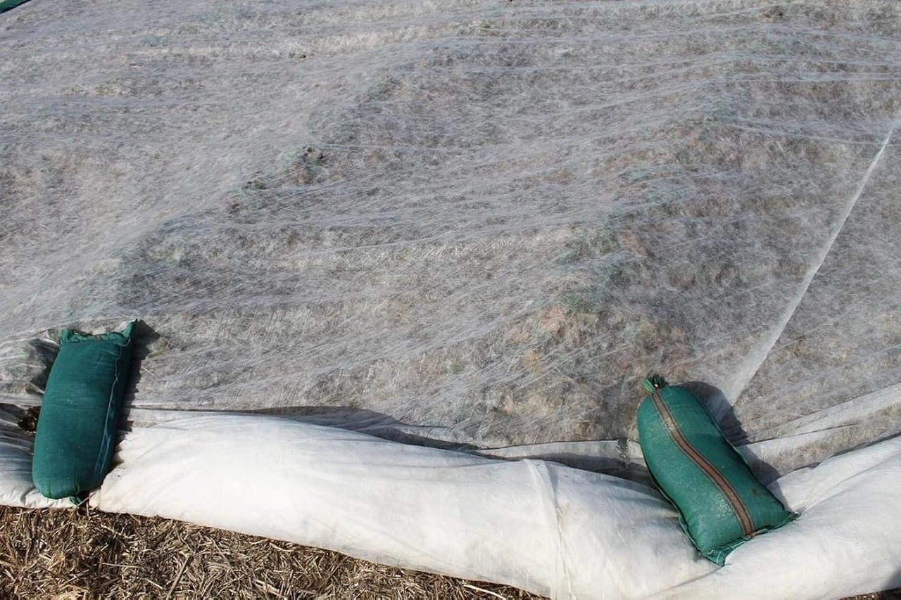 Garten-Vlies schützt Wintergemüse vor Frost und Schädlingen, indem es ein ideales Mikroklima schafft und die Temperatur reguliert.
