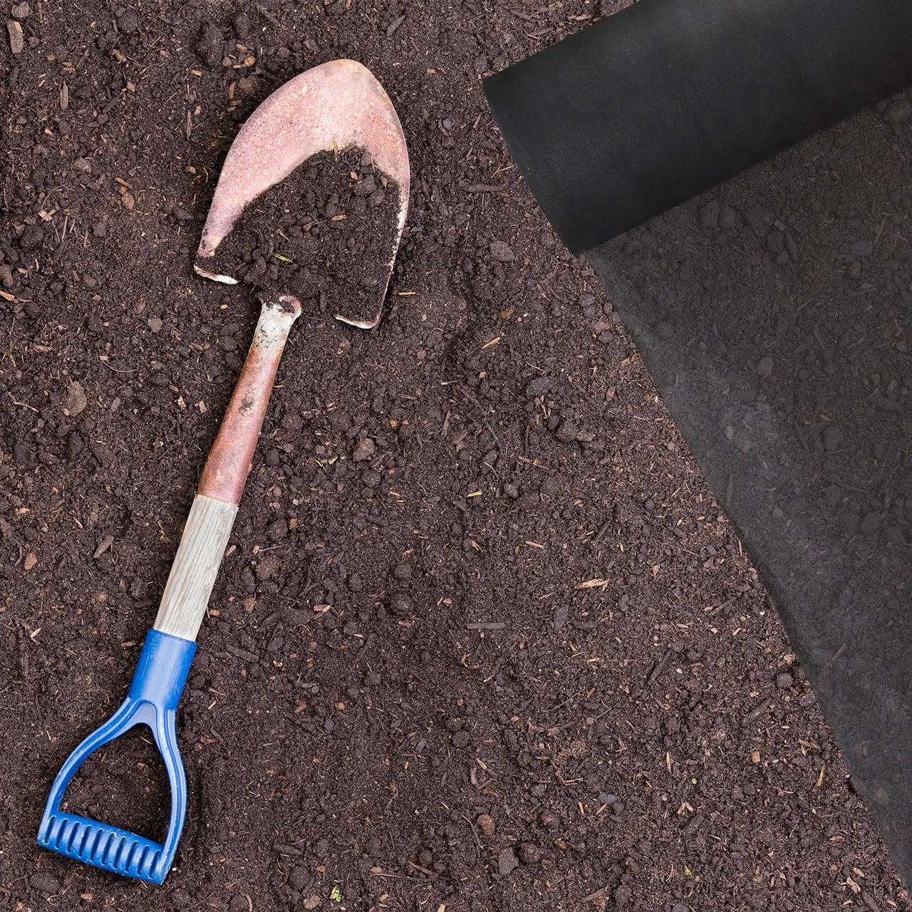 Eine Schaufel liegt neben einer ausgerollten Mulchmatte auf einem unkrautfreien Boden im Vorgarten. Die Mulchmatte dient zur Unkrautbekämpfung und schützt die vorgarten pflanzen.