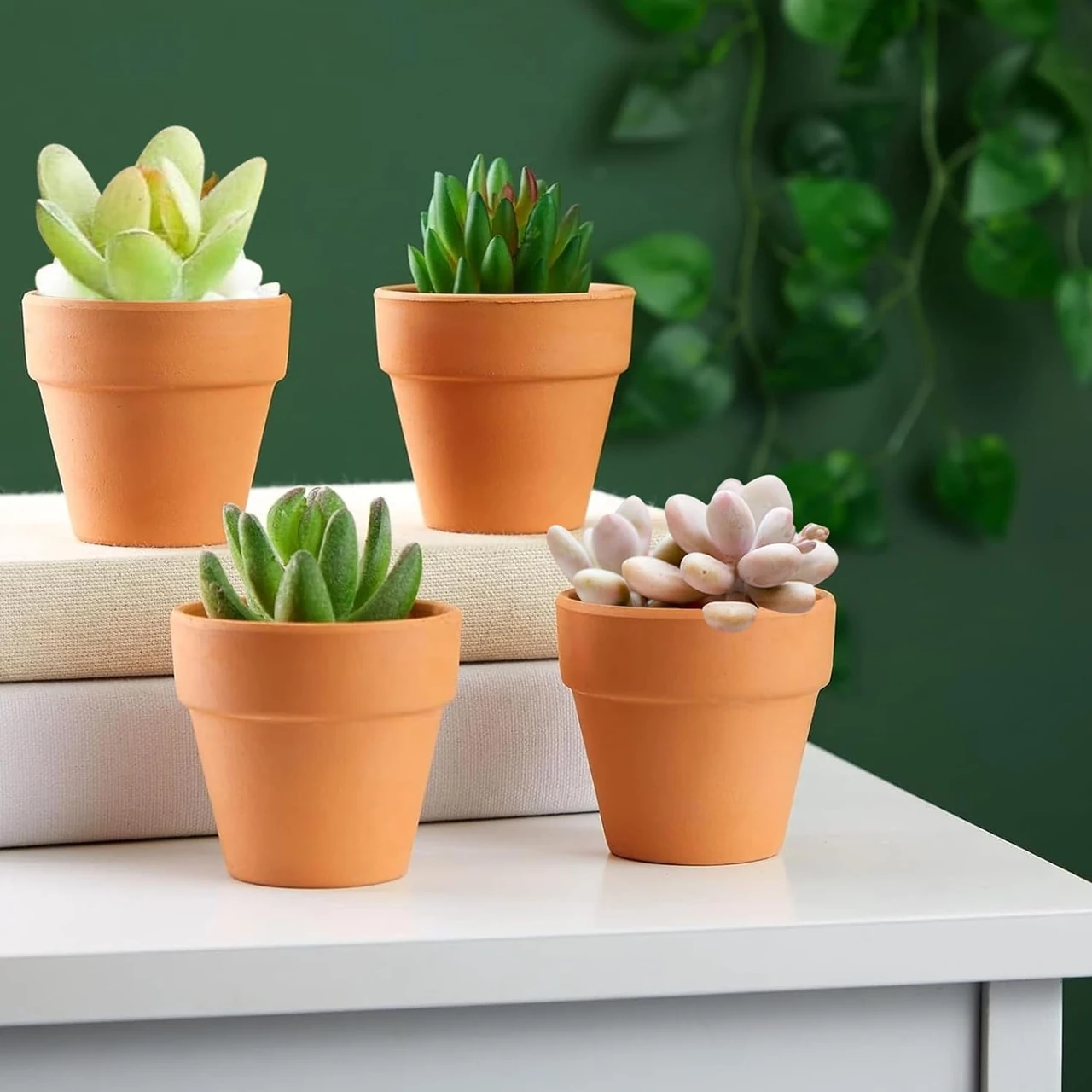 Vier kleine Ton-Blumentöpfe mit Sukkulenten auf einem weißen Tisch. Perfekt für Fensterbänke und Schreibtische. Ideal für urbanen Garten. blumentopf ton, obi blumentopf, dehner blumentopf, ton blumentopf